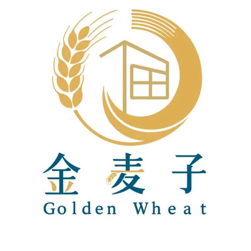 金麦子-食品厂设计规划