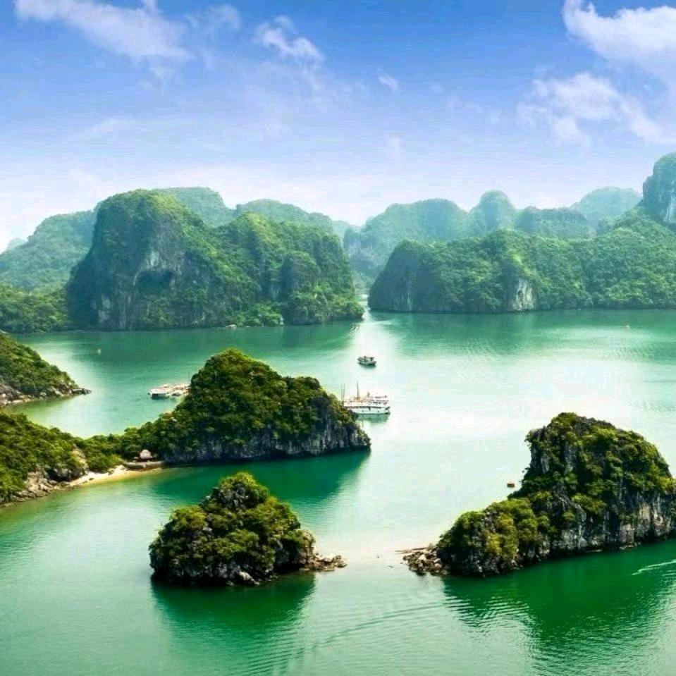 喜唱黄梅，