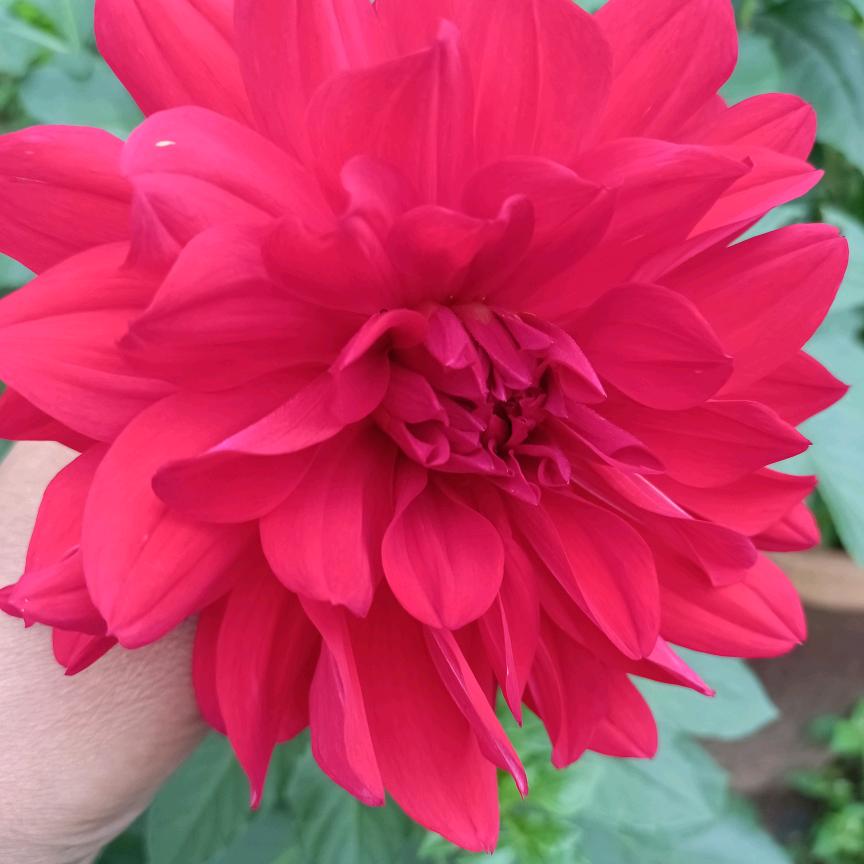 你若安好❤️便是晴天《拒绝私聊》