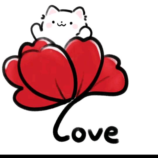 重生之我是大美女