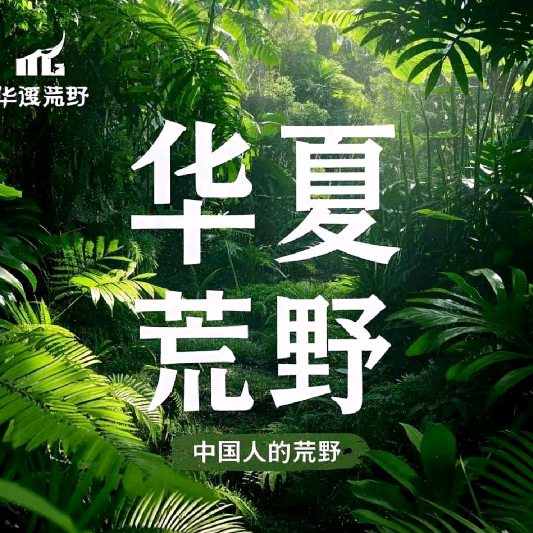 华夏荒野小剧场