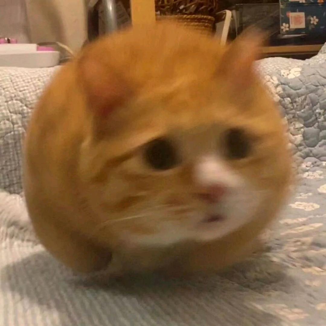 L\\\'appeldu vide🍟