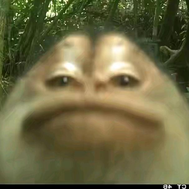 来根不拿拿