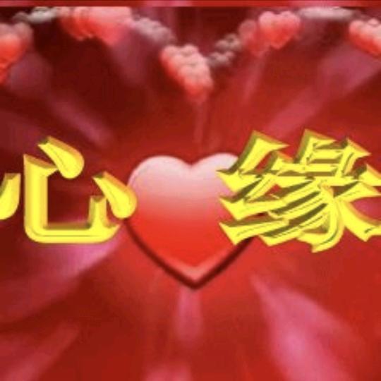 ❤️心缘❤️