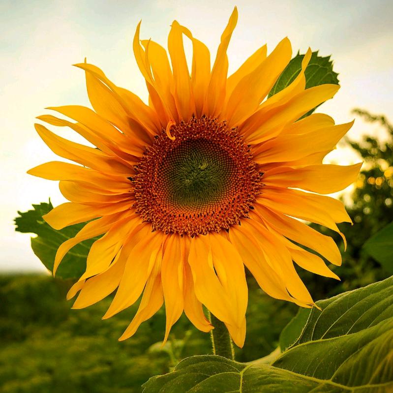 星期几🐬 ⁵²¹¹