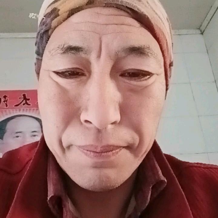 北方的野狼