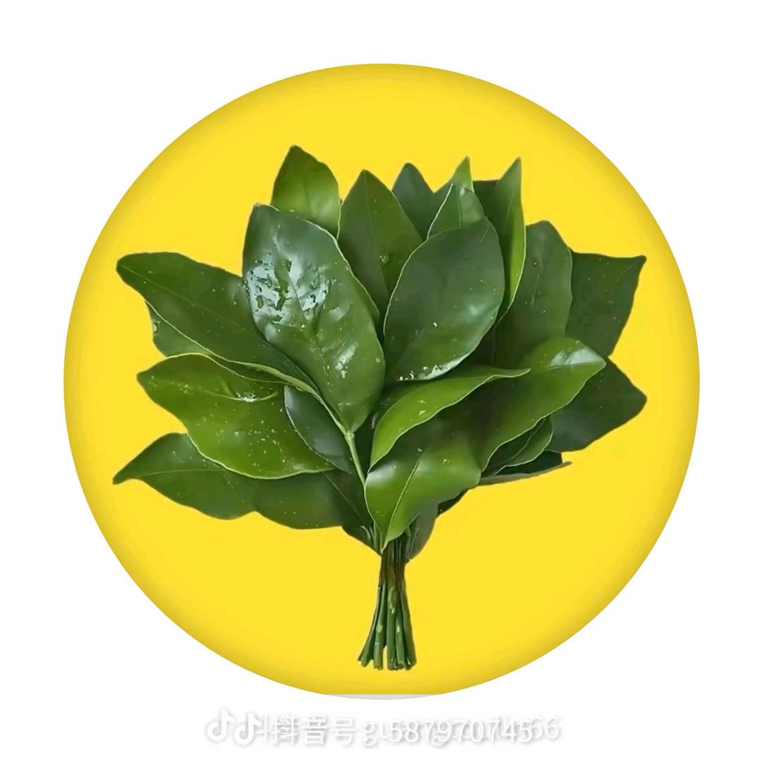 🌹小米粥🌹😂