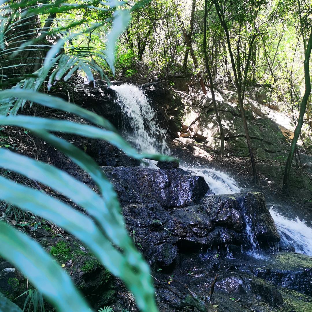 生态园热带观赏鱼