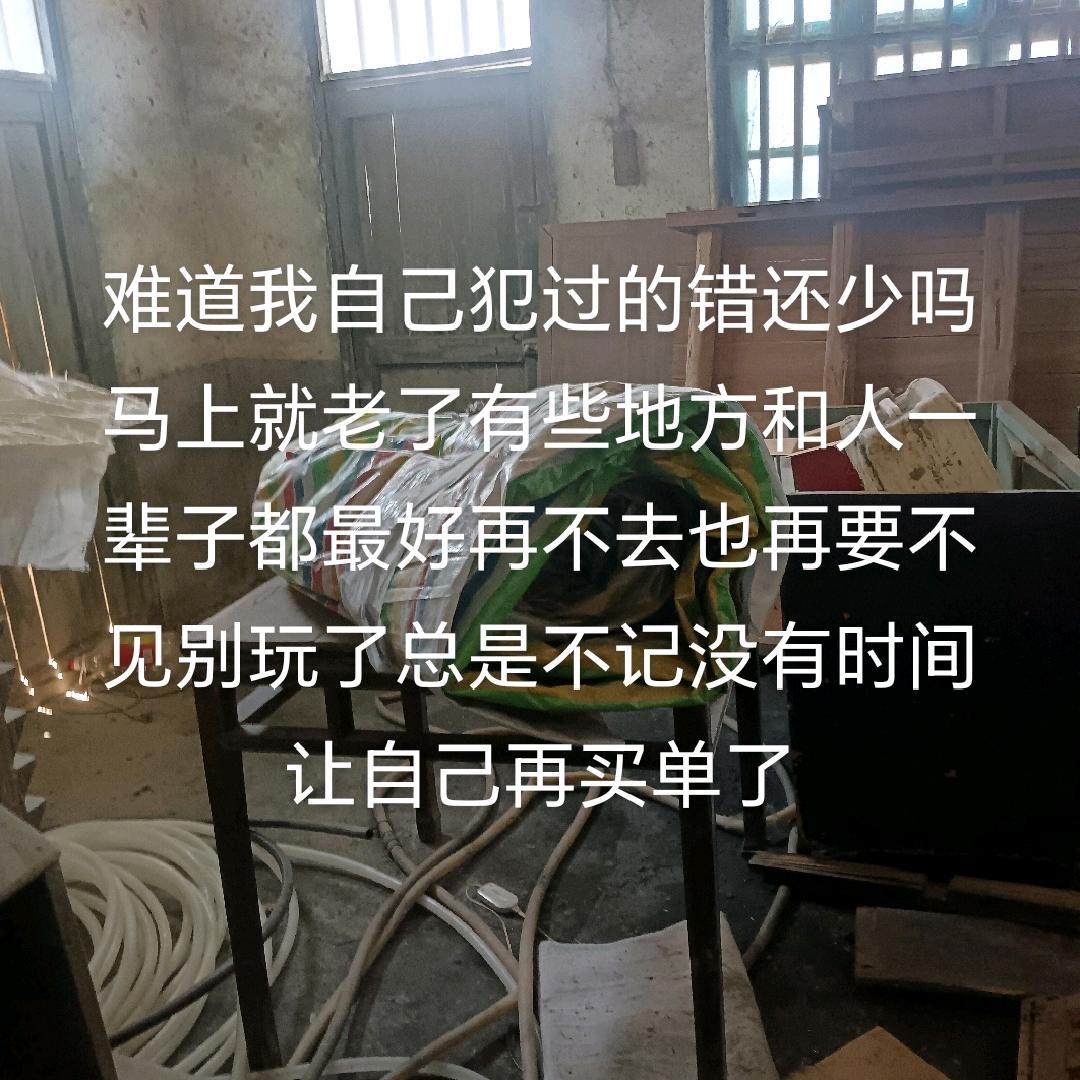 浪琴湾疯子
