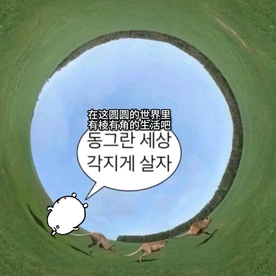 鳗鱼披萨