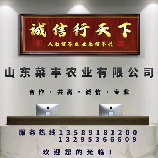 山东菜丰农业