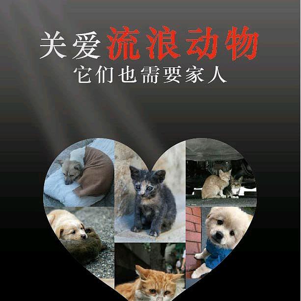 动物伊甸园故事