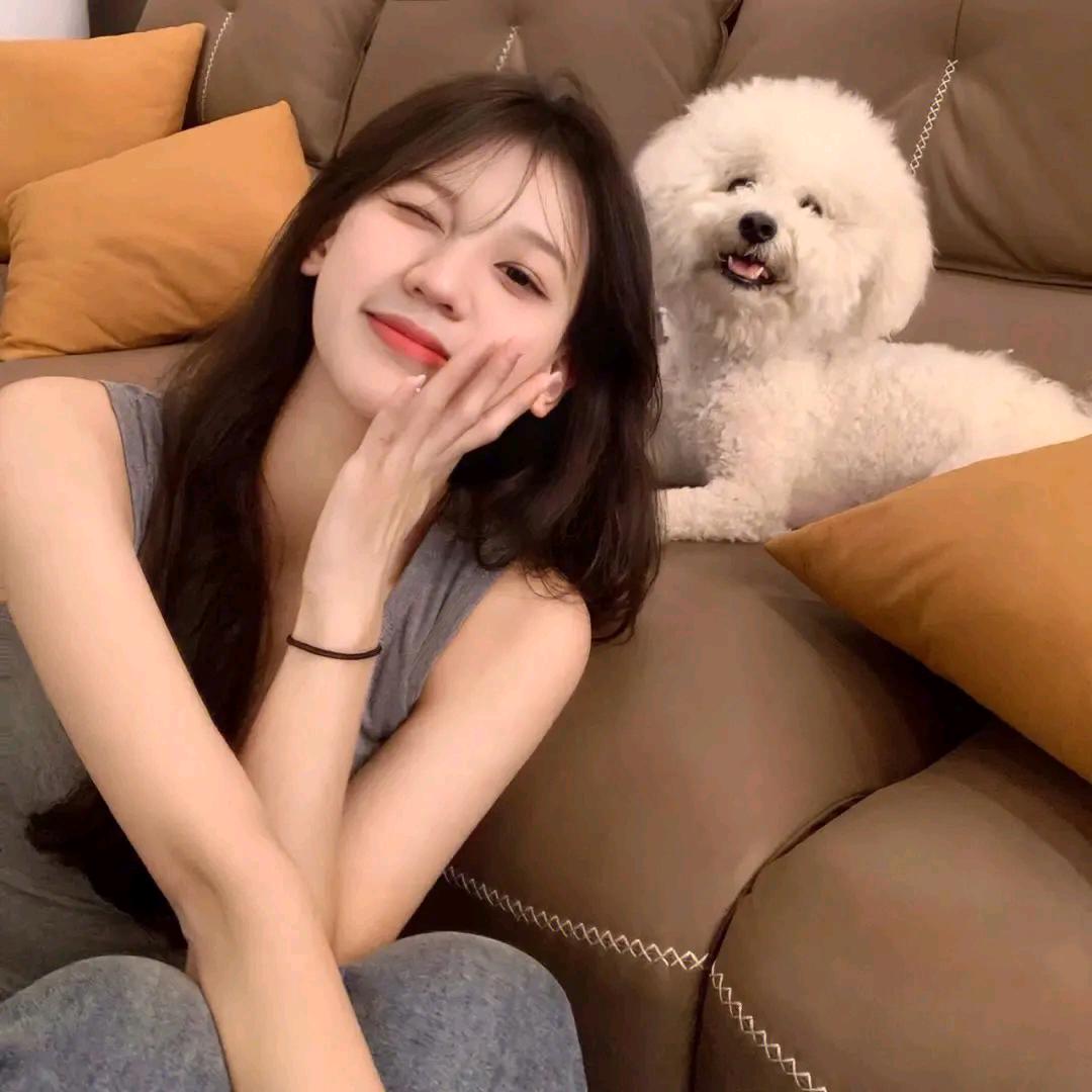 爱吃小鱼的猫: