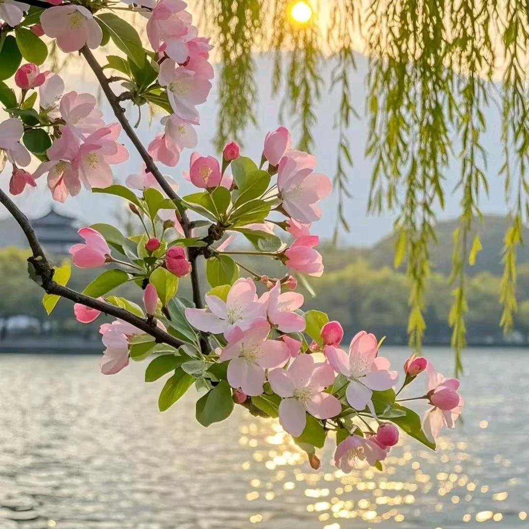 江南烟雨