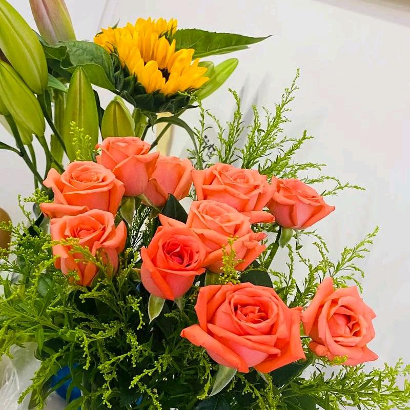 风雨之后的彩虹