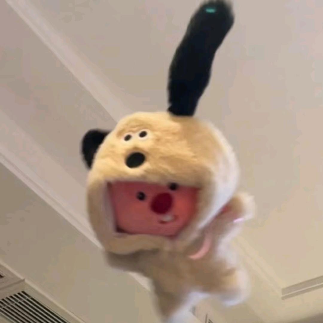 苏sei
