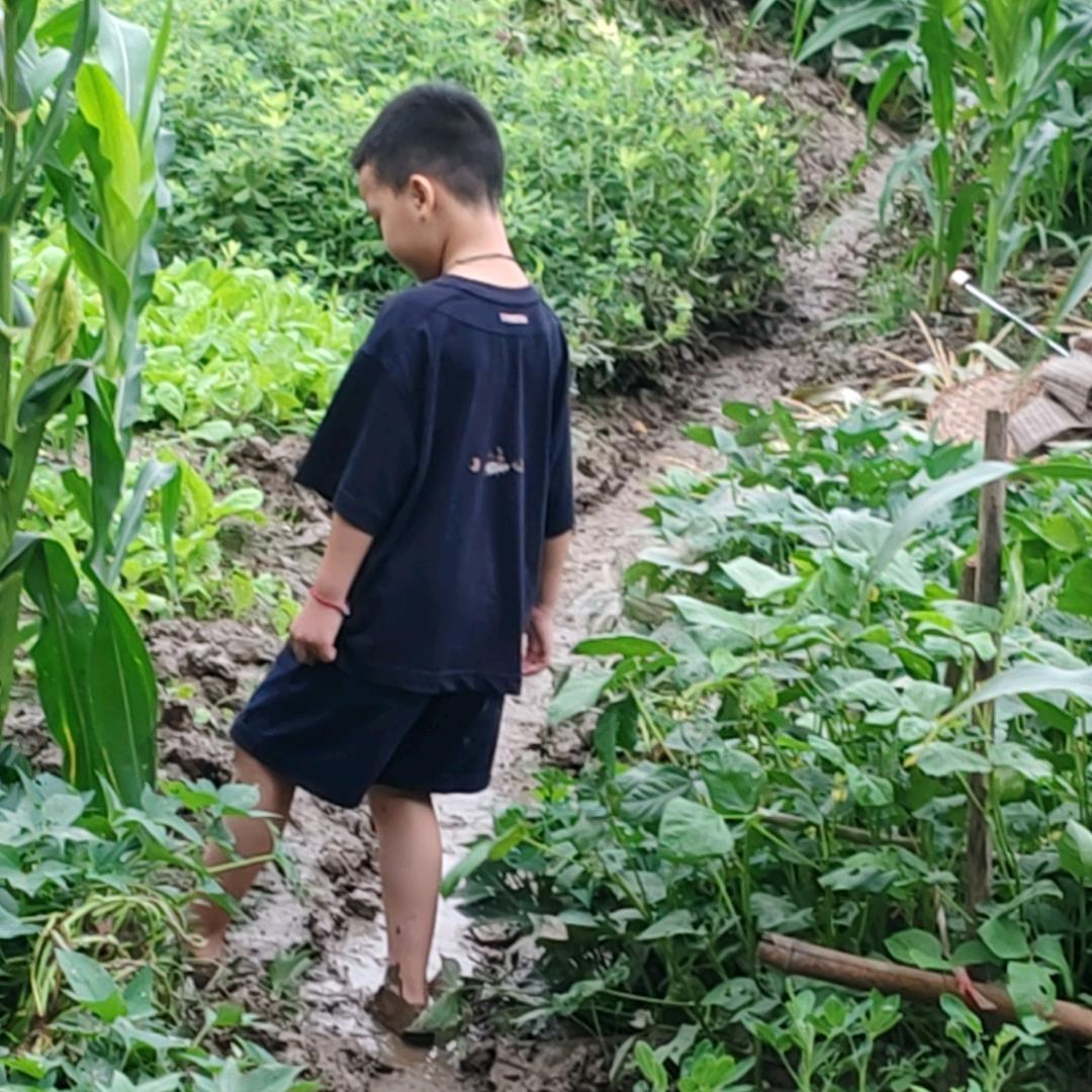 陳启彼福
