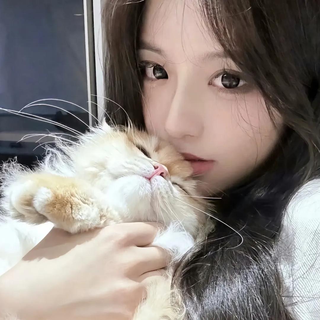 蟹黄堡包治百病