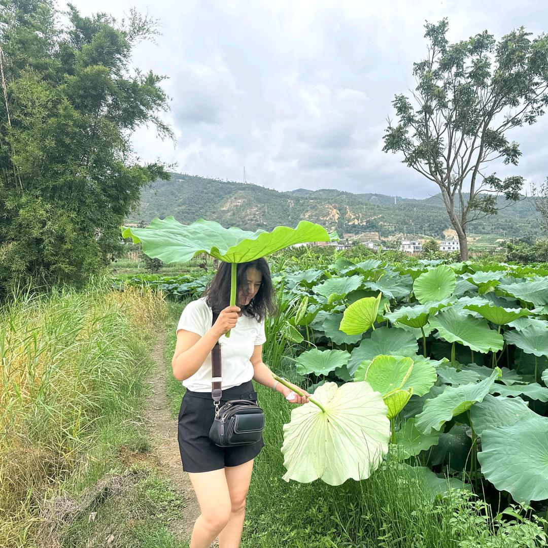 茉莉芬芳