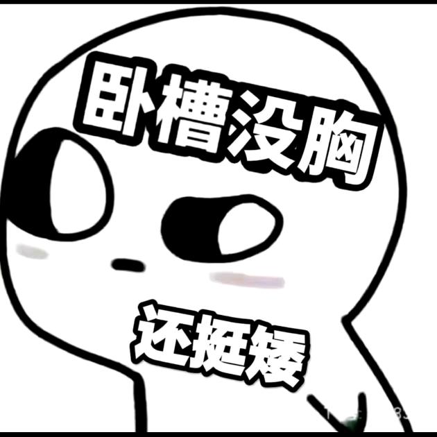 梦枕星河✨