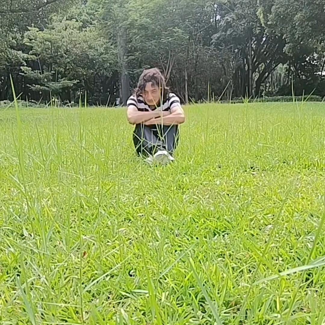 流浪哥的视角