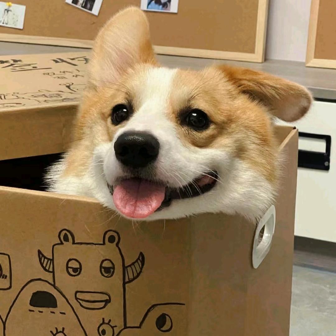 逢坂虎儿