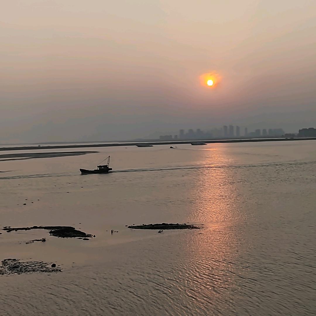 橙子说