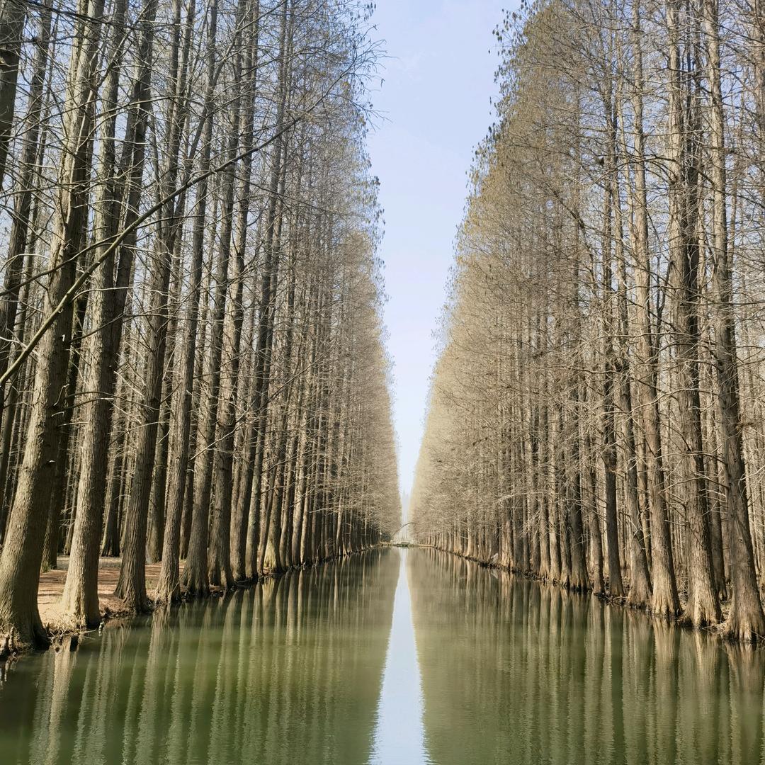 星河