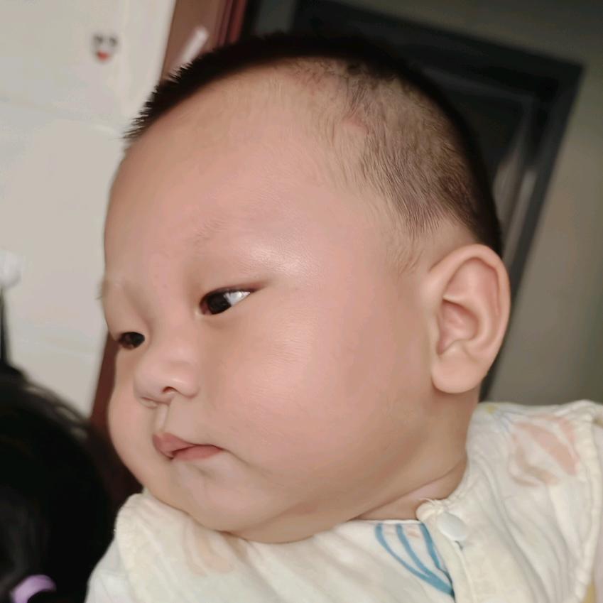 橘子宸麻咪