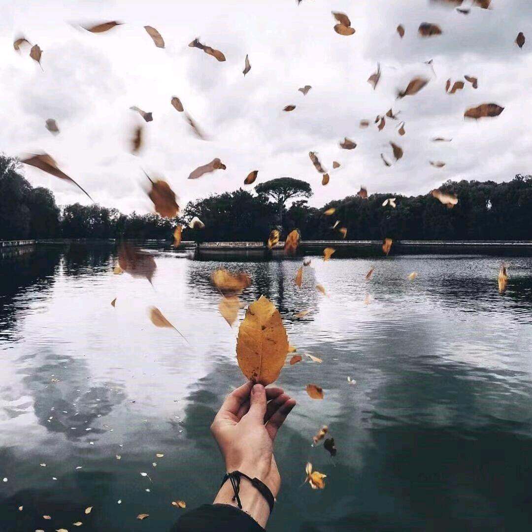 暖树续梦