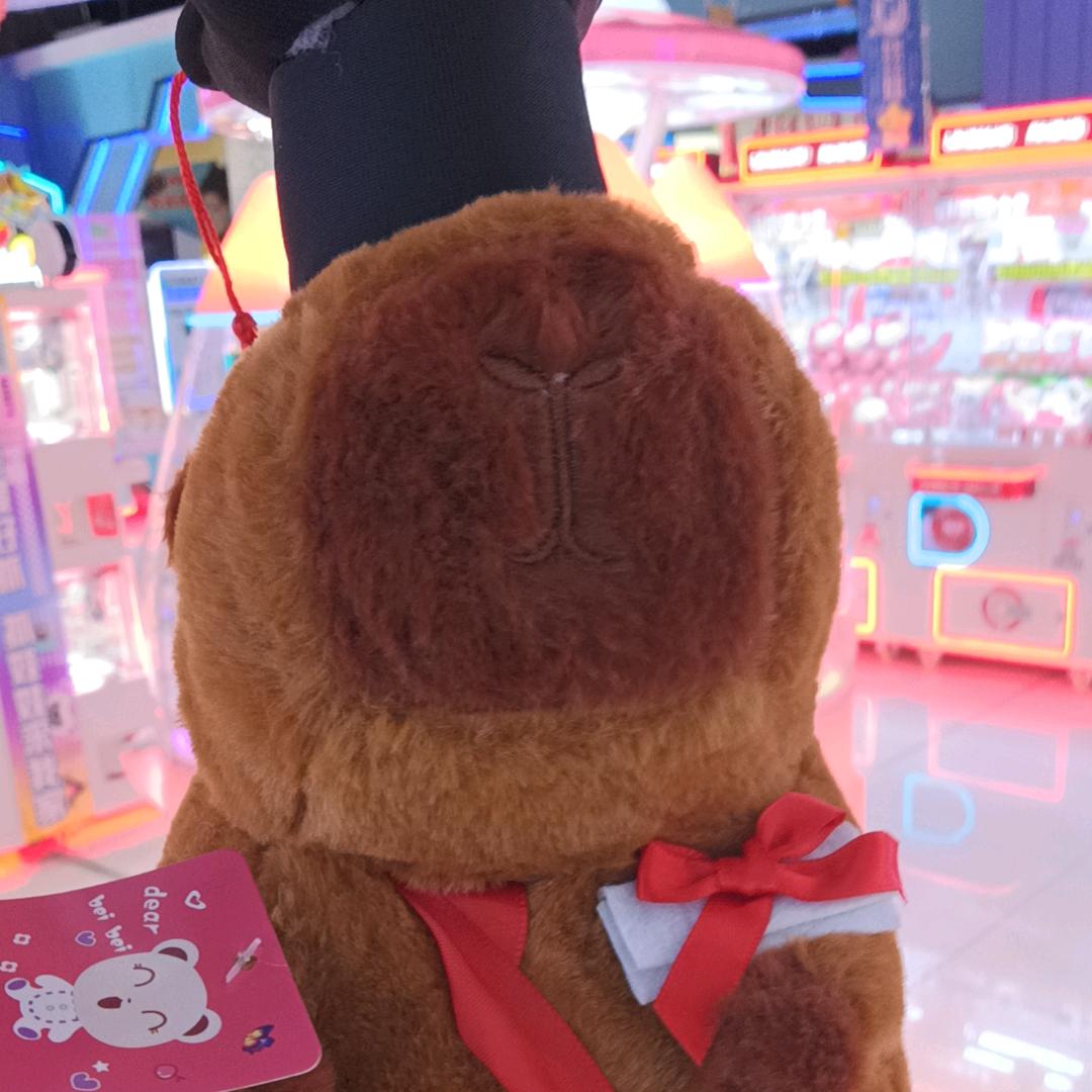 莆犟
