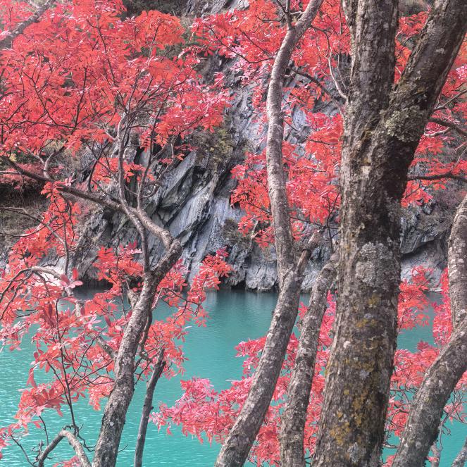 喂！你还在吗？