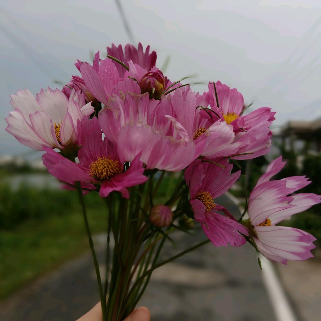 文艺。。。。