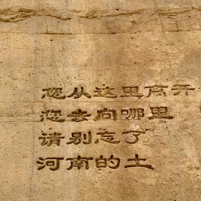 河南妮儿