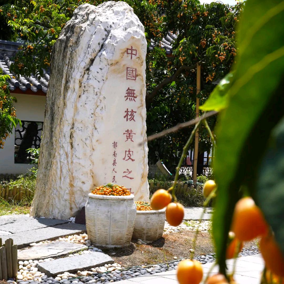 认真姐2