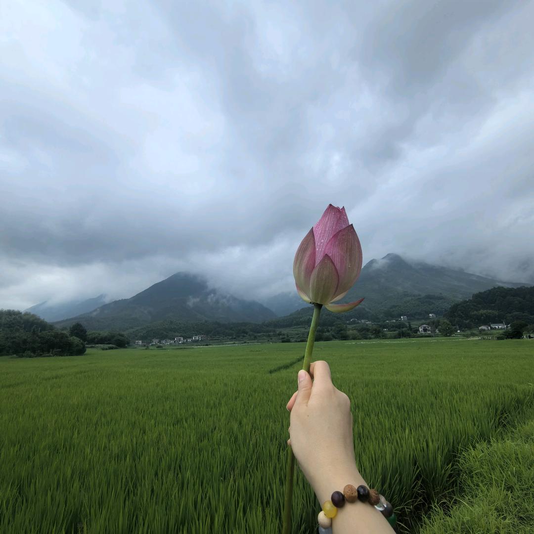 叶子🍃说生活