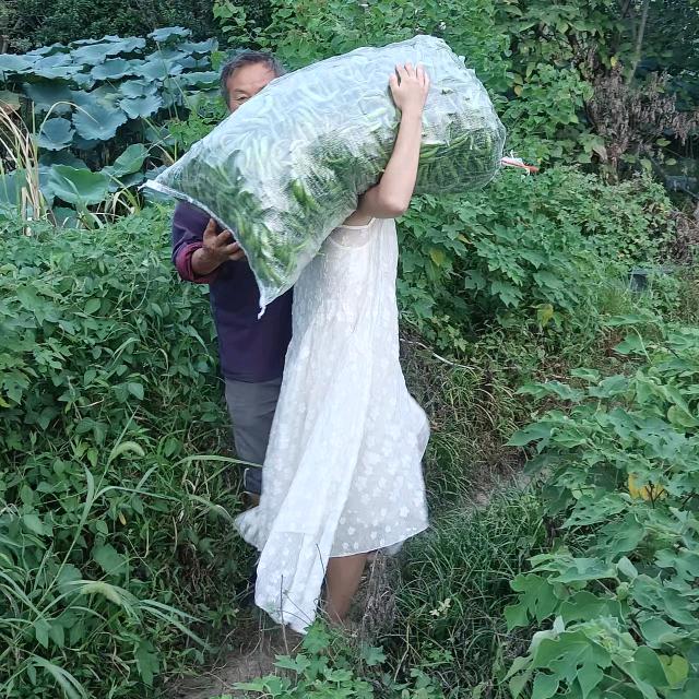 无敌张漂亮