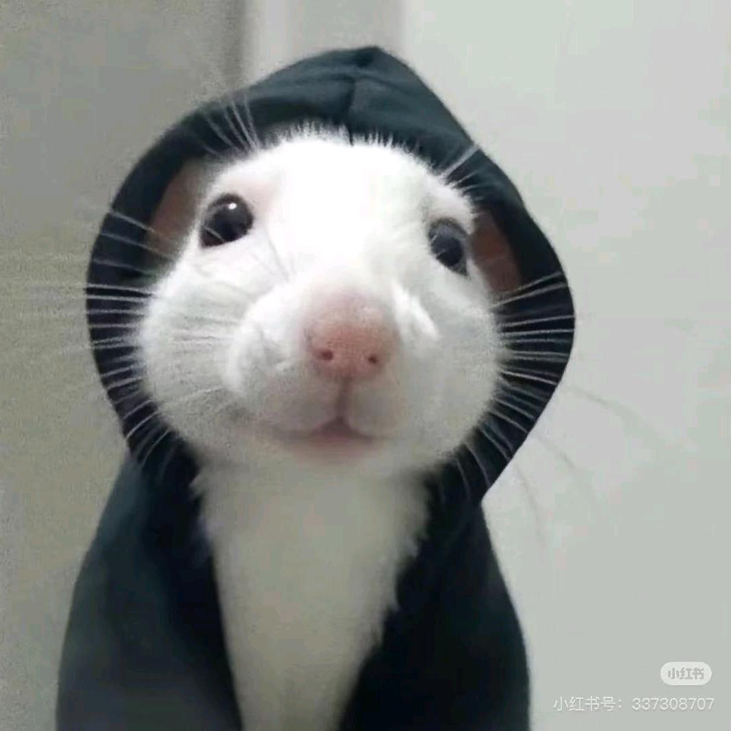 😯