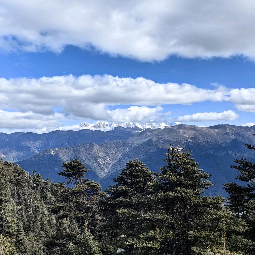 赵钊-地质工程！