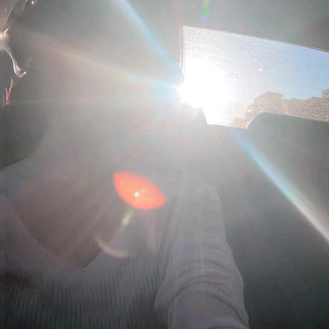 午饭有🐟有🦐