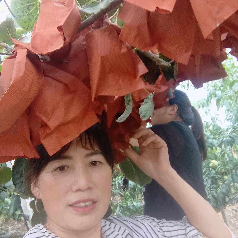 琳山赵姐（助农）