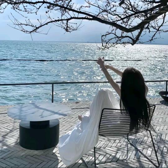 橘子♬(牛马版)