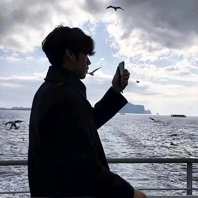 少帅甲