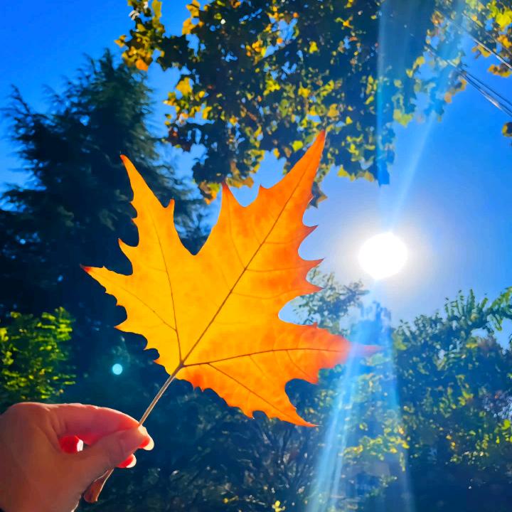 ✨ ঞᩚ᭄幸运ꕥ້໌ᮨ 相随💞