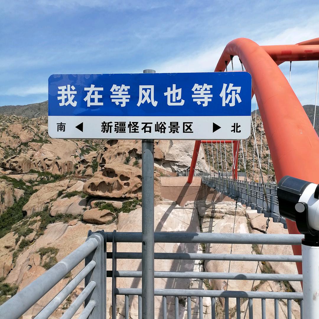 小白杨
