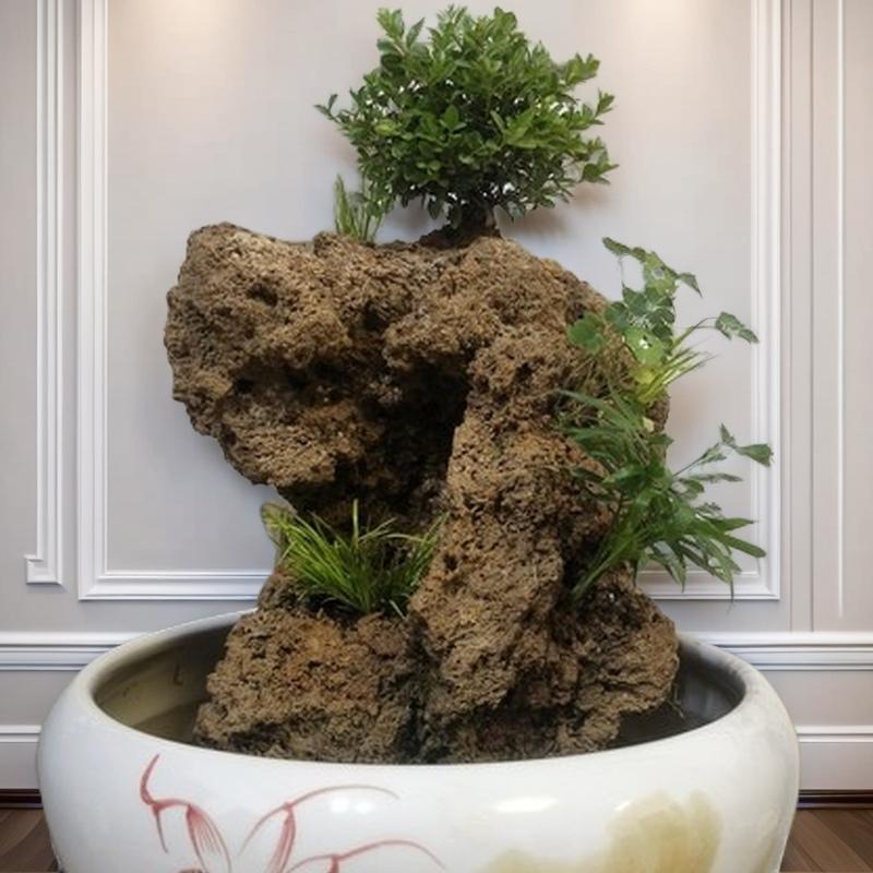 苍璧轩奇石