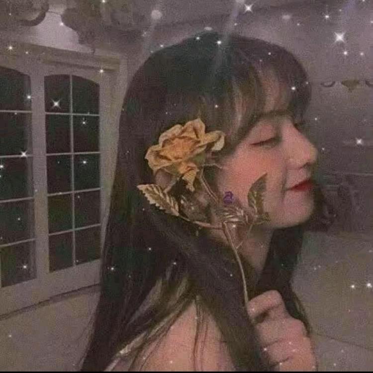 曲奇剧分享