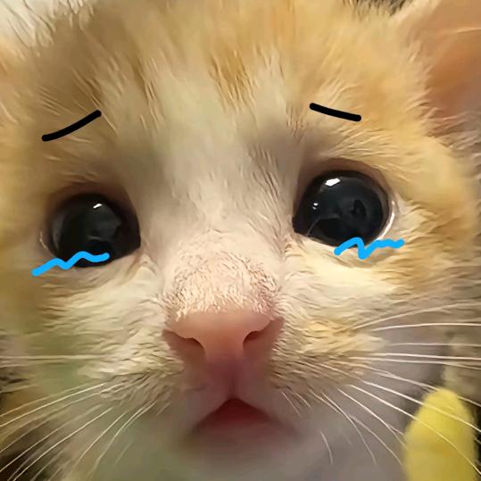不吃海鲜