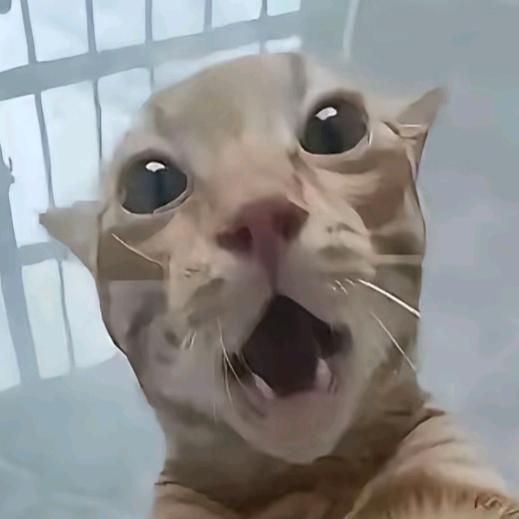 WEI の