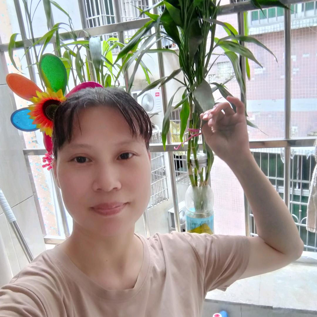 燕子简言